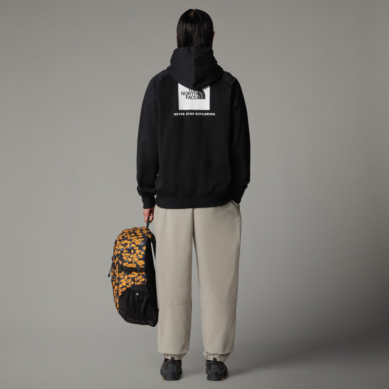 The North Face Raglan NSE Hoodie