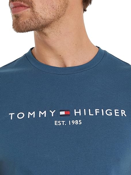 Tommy Hilfiger Tommy Logo T-Shirt