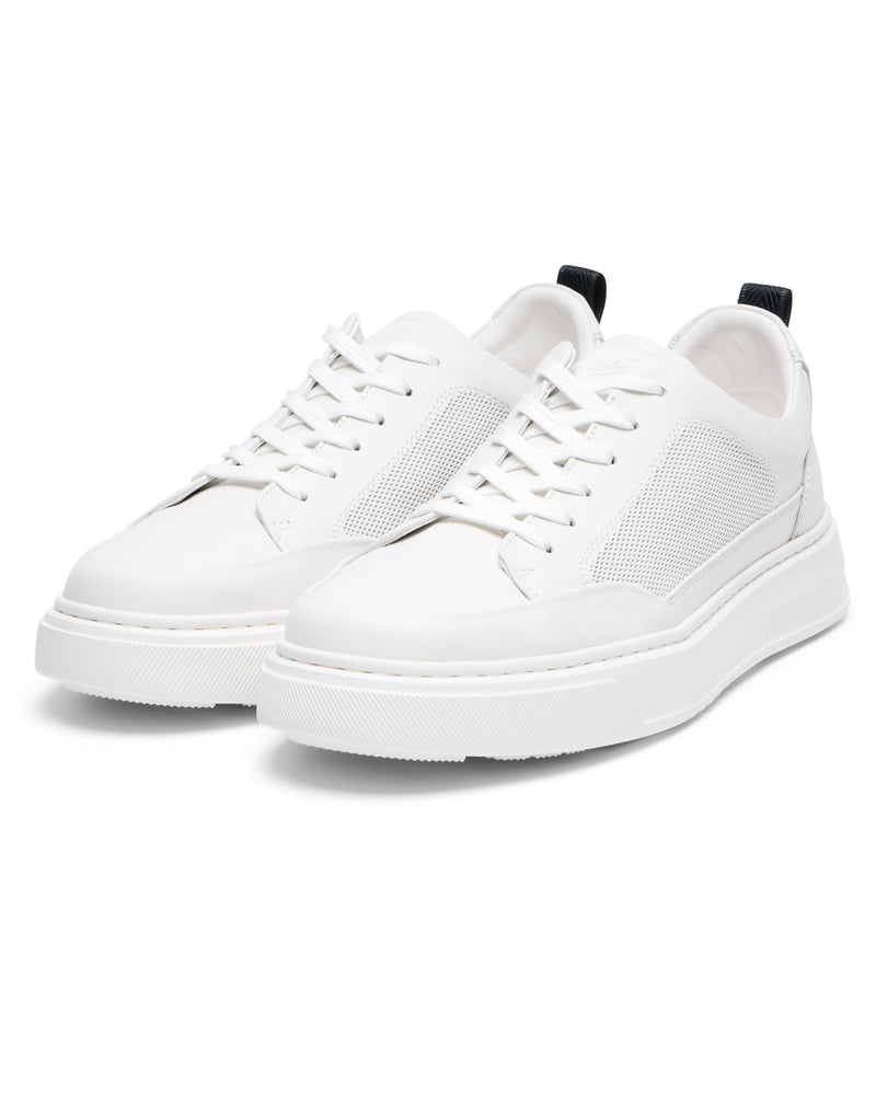 Bowe & Bootmakers Dexco Shoe