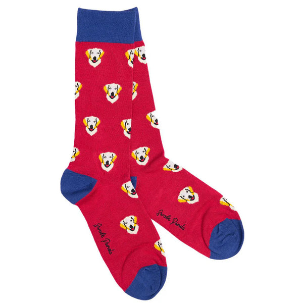 Swole Panda Golden Retriver Socks