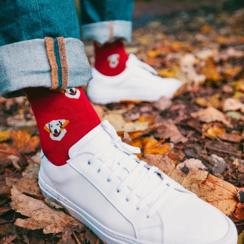 Swole Panda Golden Retriver Socks