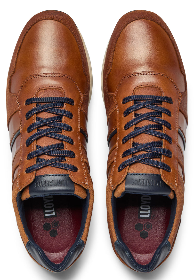 Lloyd & Pryce Skelton Casual Shoe