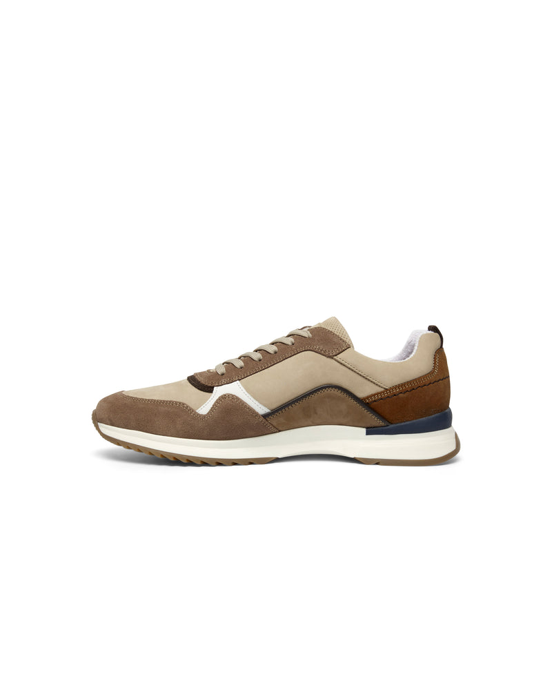 Lloyd & Pryce Prendergast Casual Shoe