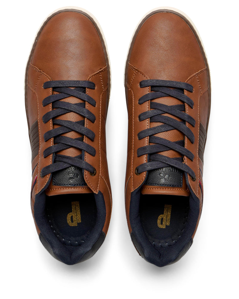 Lloyd & Pryce Rasaku Trainer