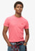 Superdry Essential Logo T-Shirt