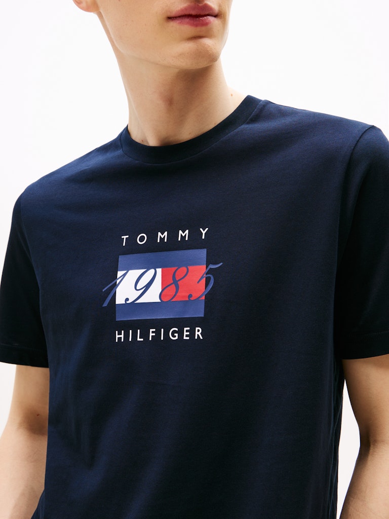 Tommy Hilfiger Linear Flag T-Shirt