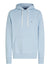Tommy Hilfiger Essential Terry Hoody