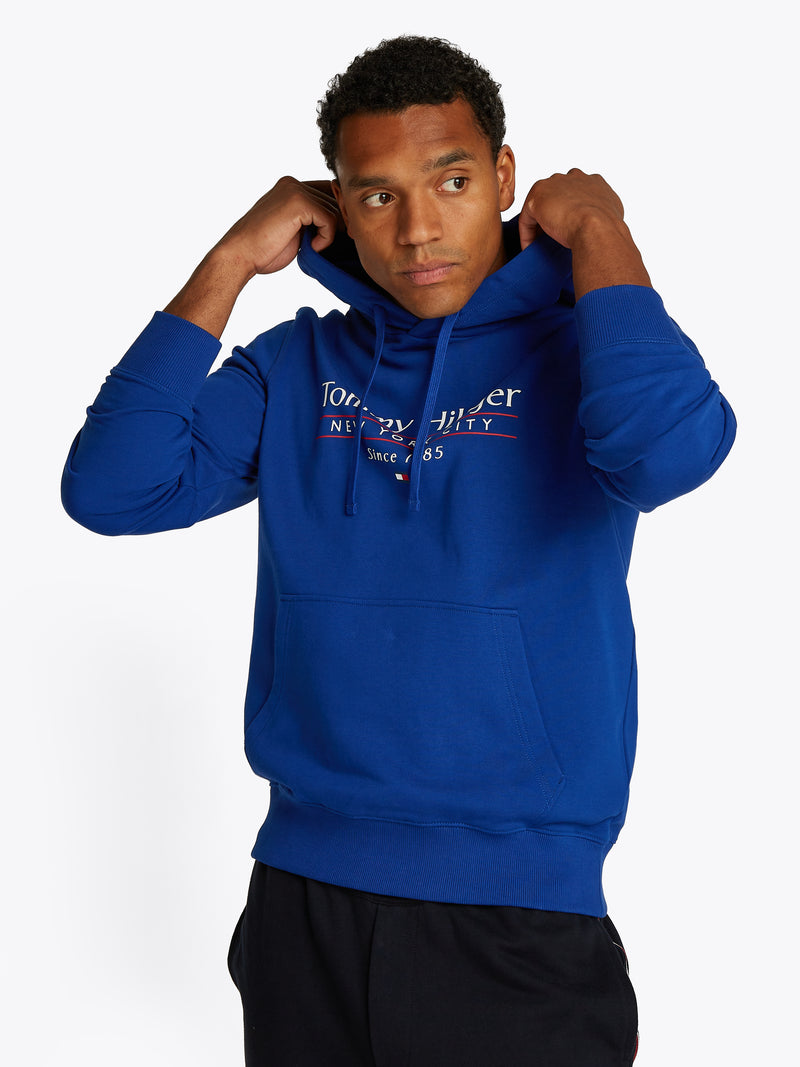 Tommy Hilfiger Center Stack Hoody