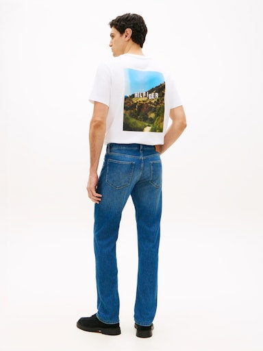 Tommy Hilfiger Denton Slim Straight Jean