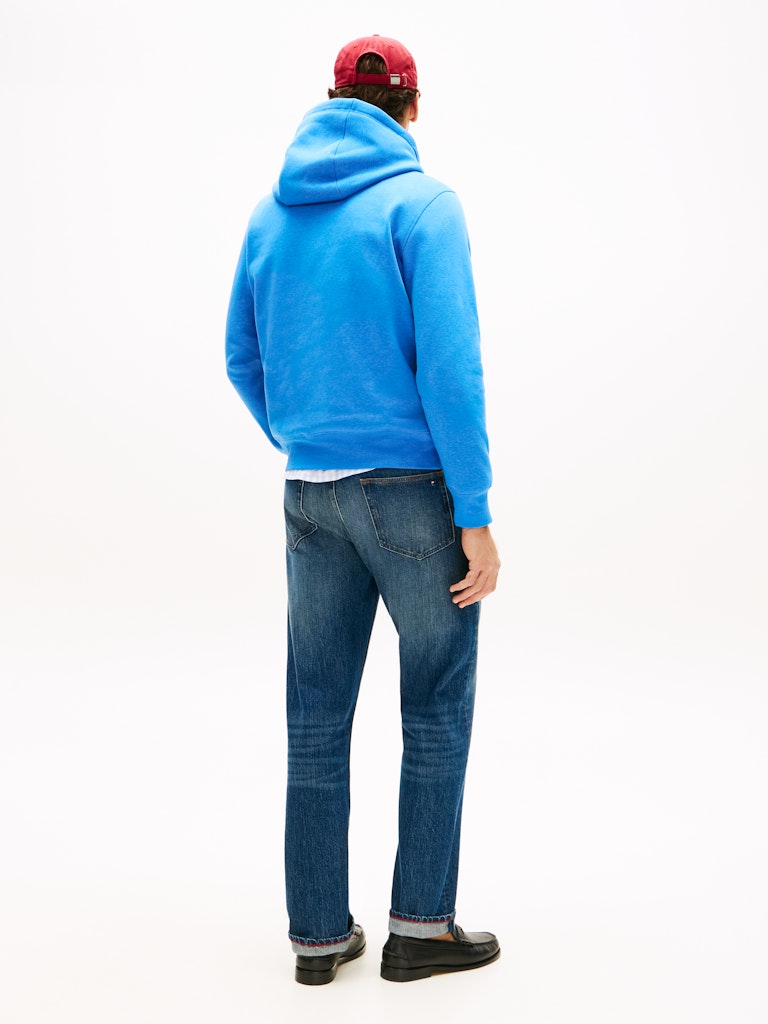 Tommy Hilfiger Logo Hoody