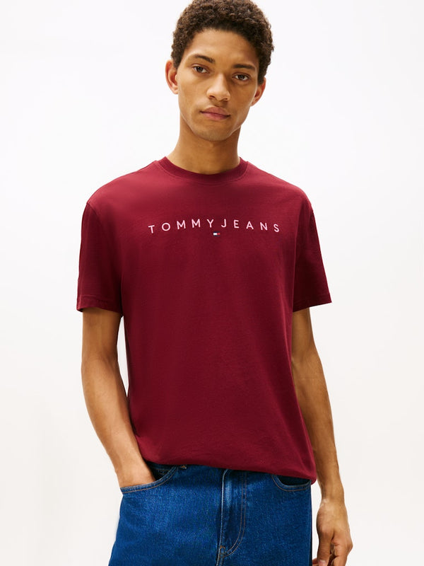 Tommy Jeans Reg Linear Logo T-Shirt