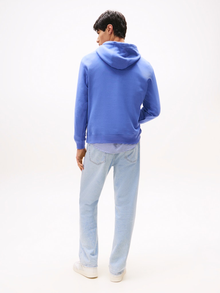 Tommy Jeans Reg Flag Hoodie