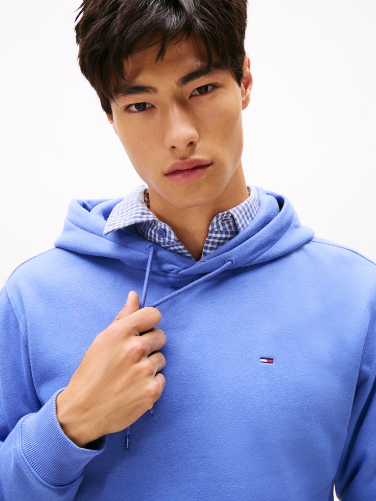 Tommy Jeans Reg Flag Hoodie