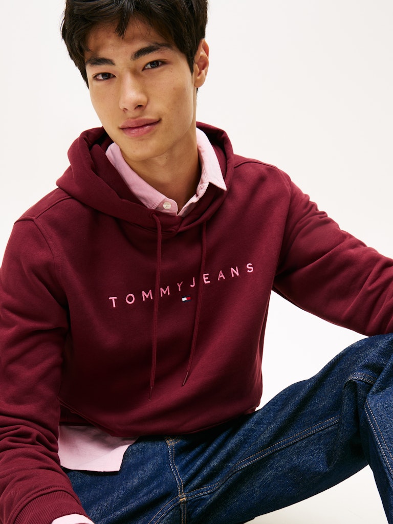 Tommy Jeans Reg Linear Logo Hoodie