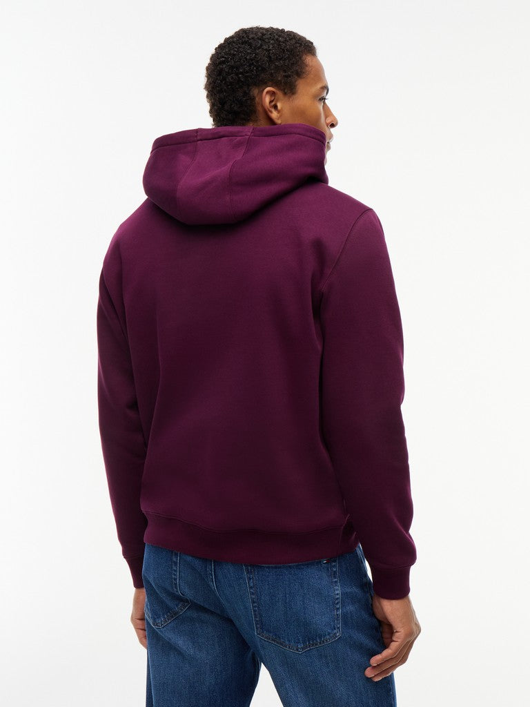 Tommy Jeans Reg Flag Hoodie