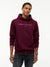 Tommy Jeans Linear Logo Hoodie