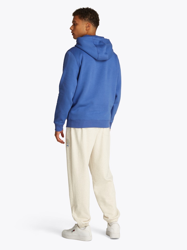 Tommy Jeans Reg Flag Hoodie