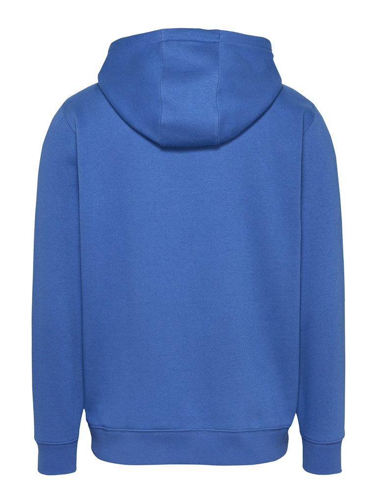 Tommy Jeans Reg Flag Hoodie