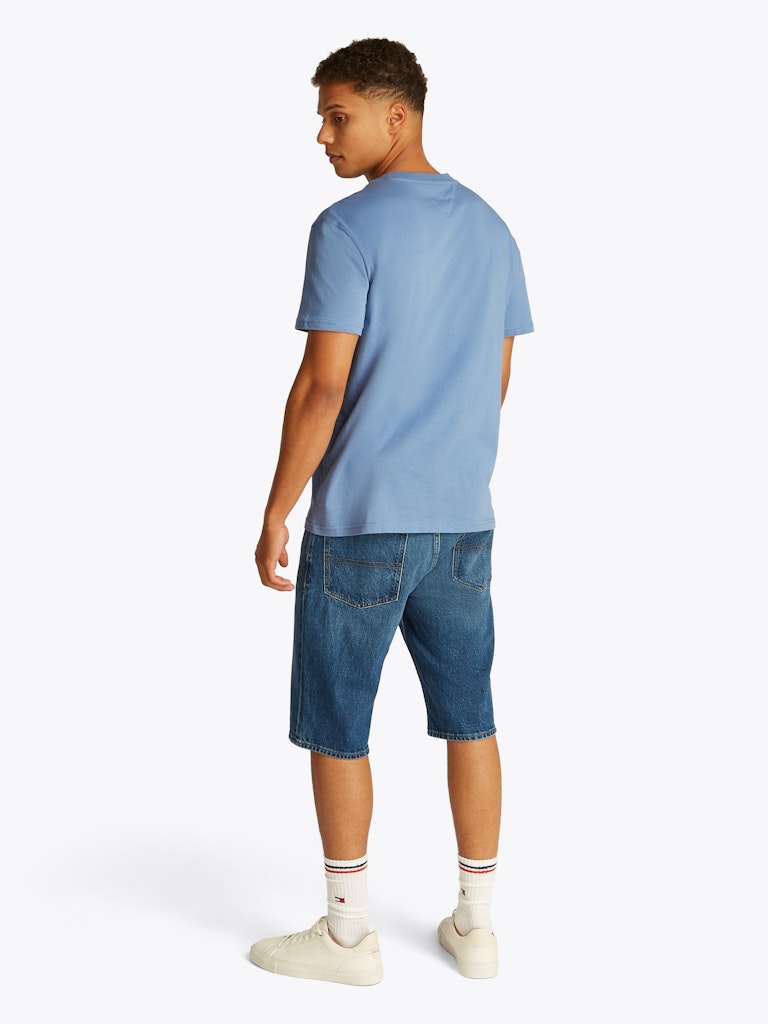 Tommy Jeans Reg Linear T-Shirt