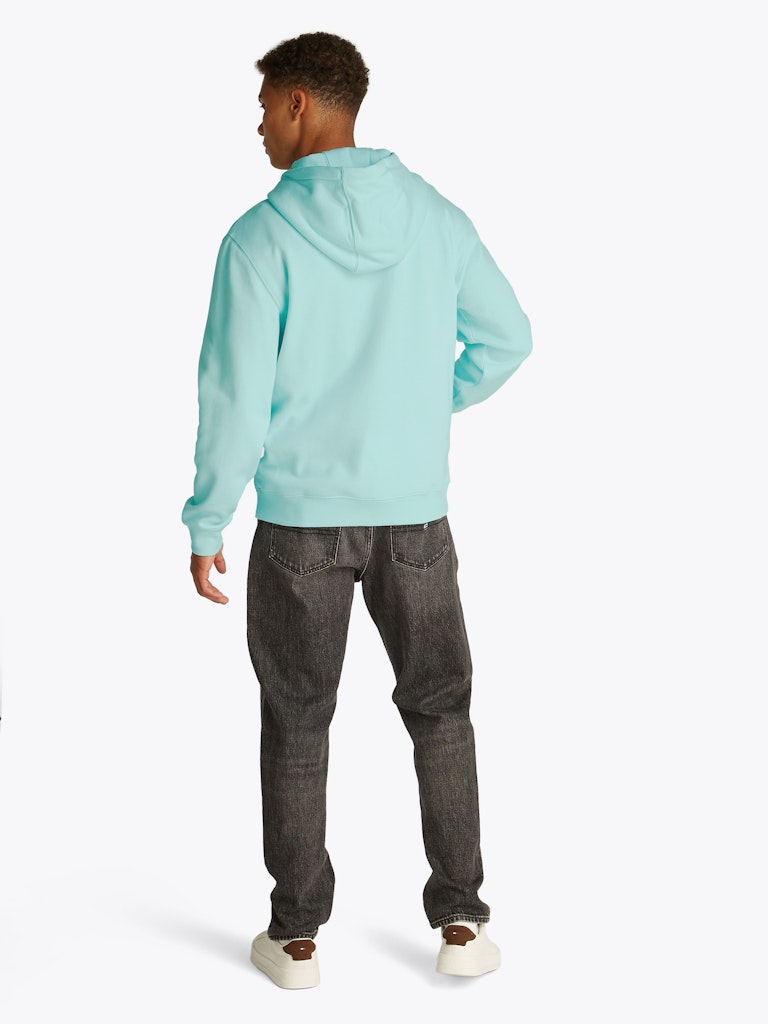 Tommy Jeans Reg Flag Hoodie