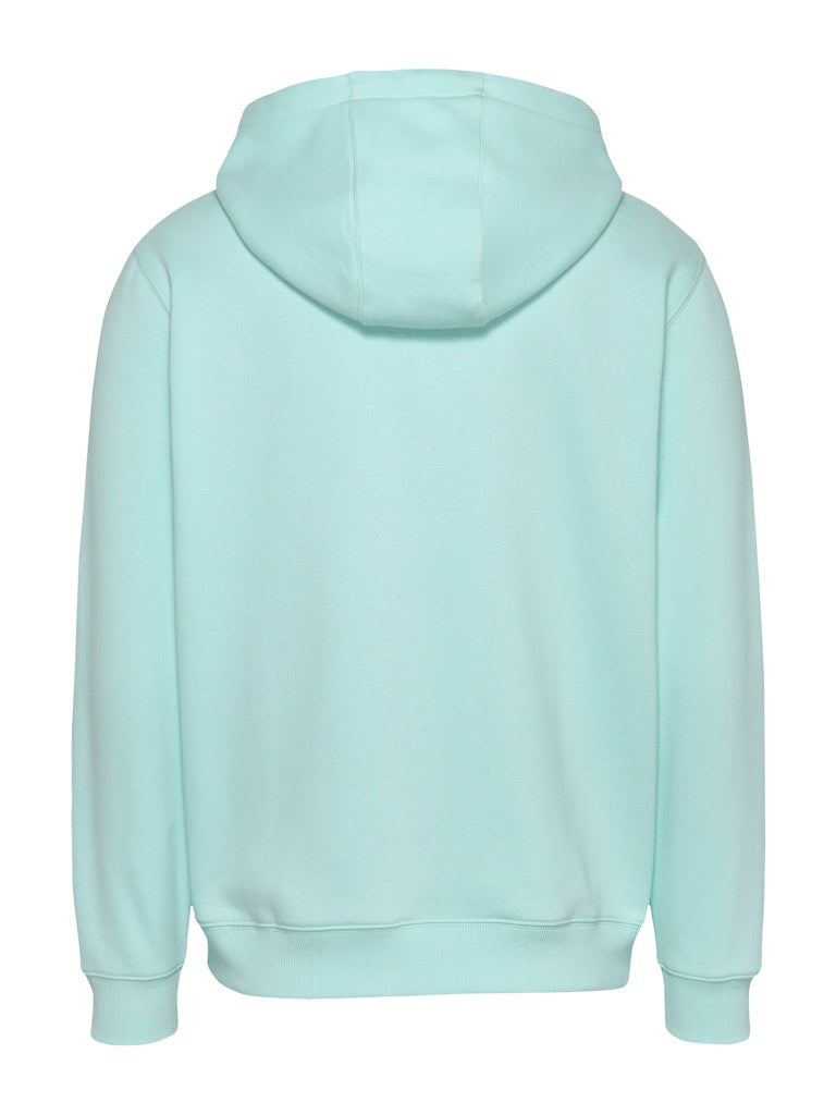 Tommy Jeans Reg Flag Hoodie