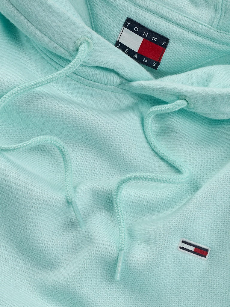 Tommy Jeans Reg Flag Hoodie