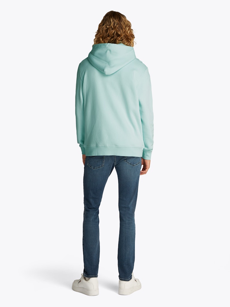 Tommy Jeans Reg Linear Hoodie