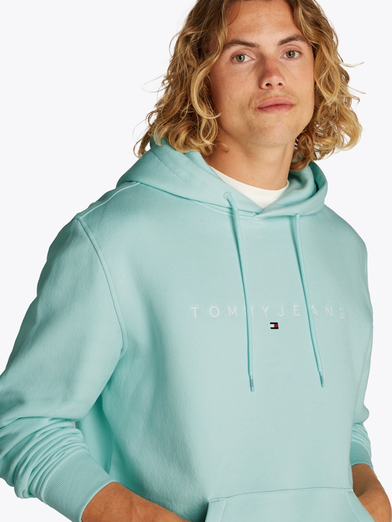 Tommy Jeans Reg Linear Hoodie