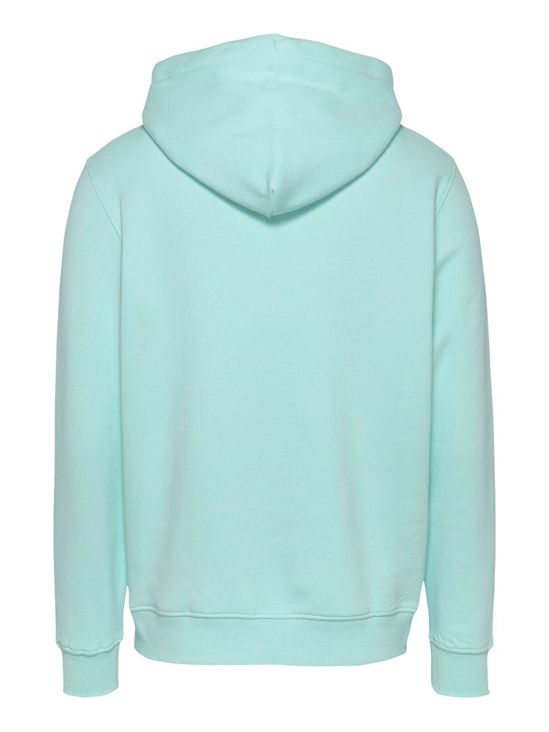 Tommy Jeans Reg Linear Hoodie