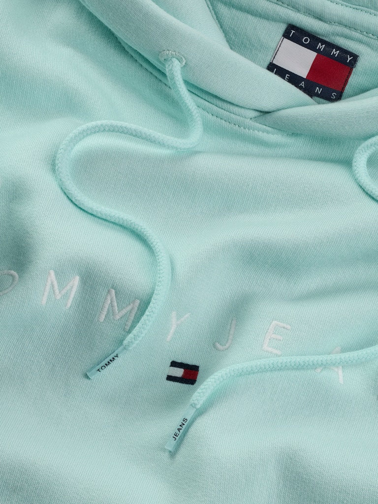 Tommy Jeans Reg Linear Hoodie