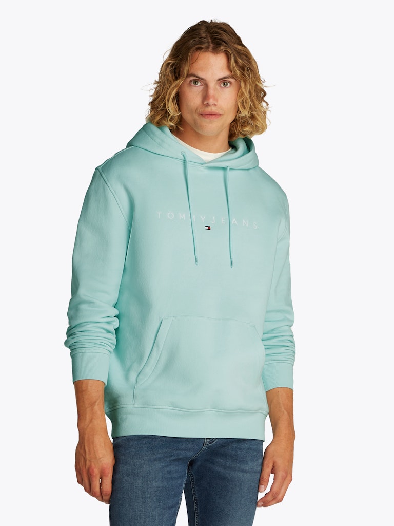 Tommy Jeans Reg Linear Hoodie