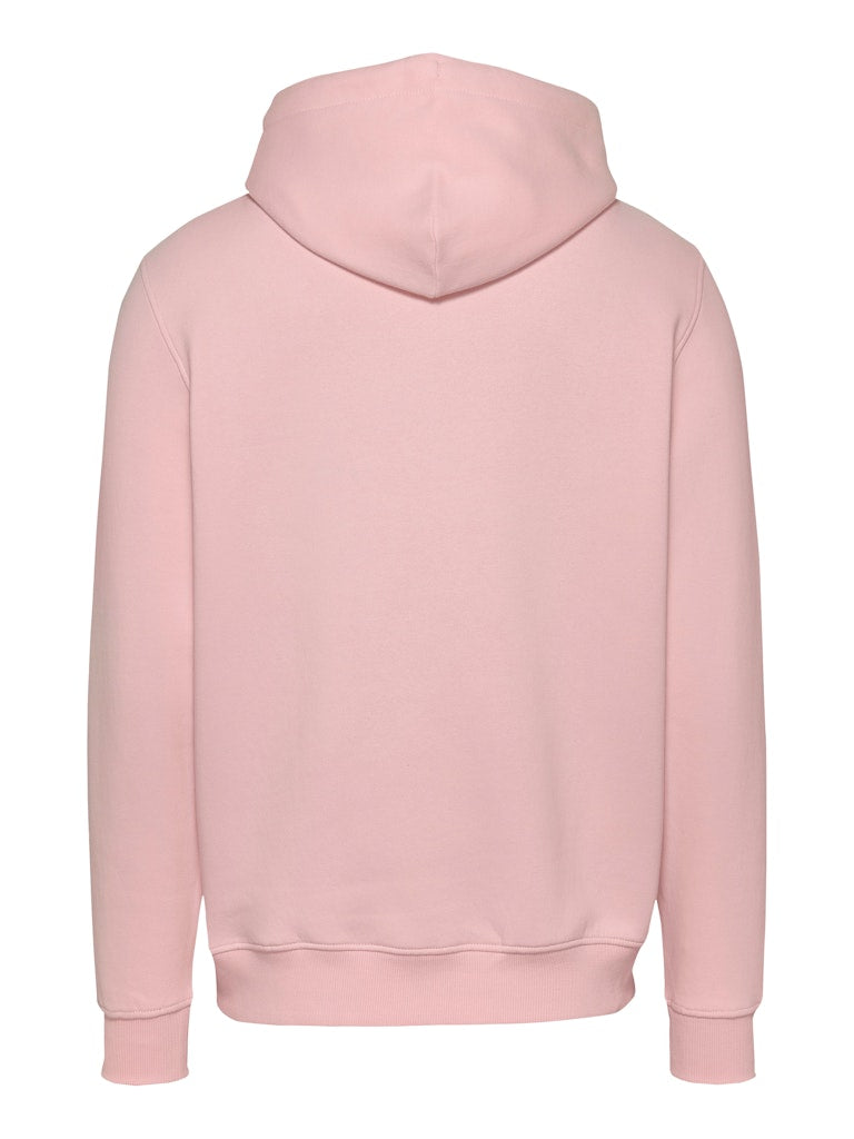 Tommy Jeans Linear Logo Hoodie
