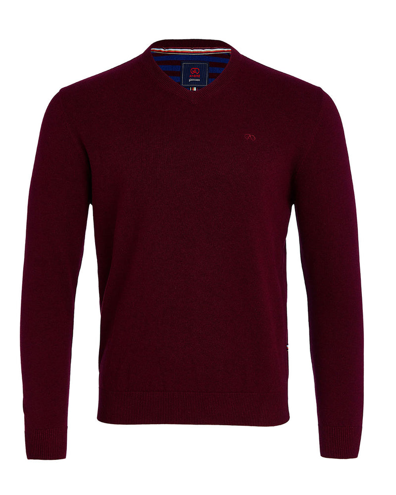 Andre Valencia V Neck