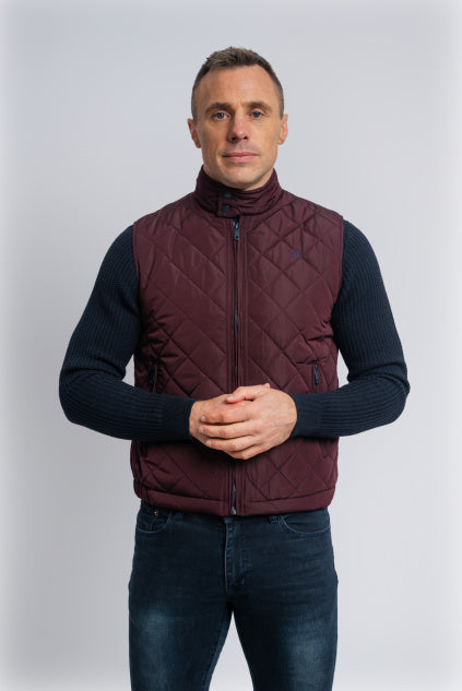 XV Kings Tommy Bowe West lions Gilet